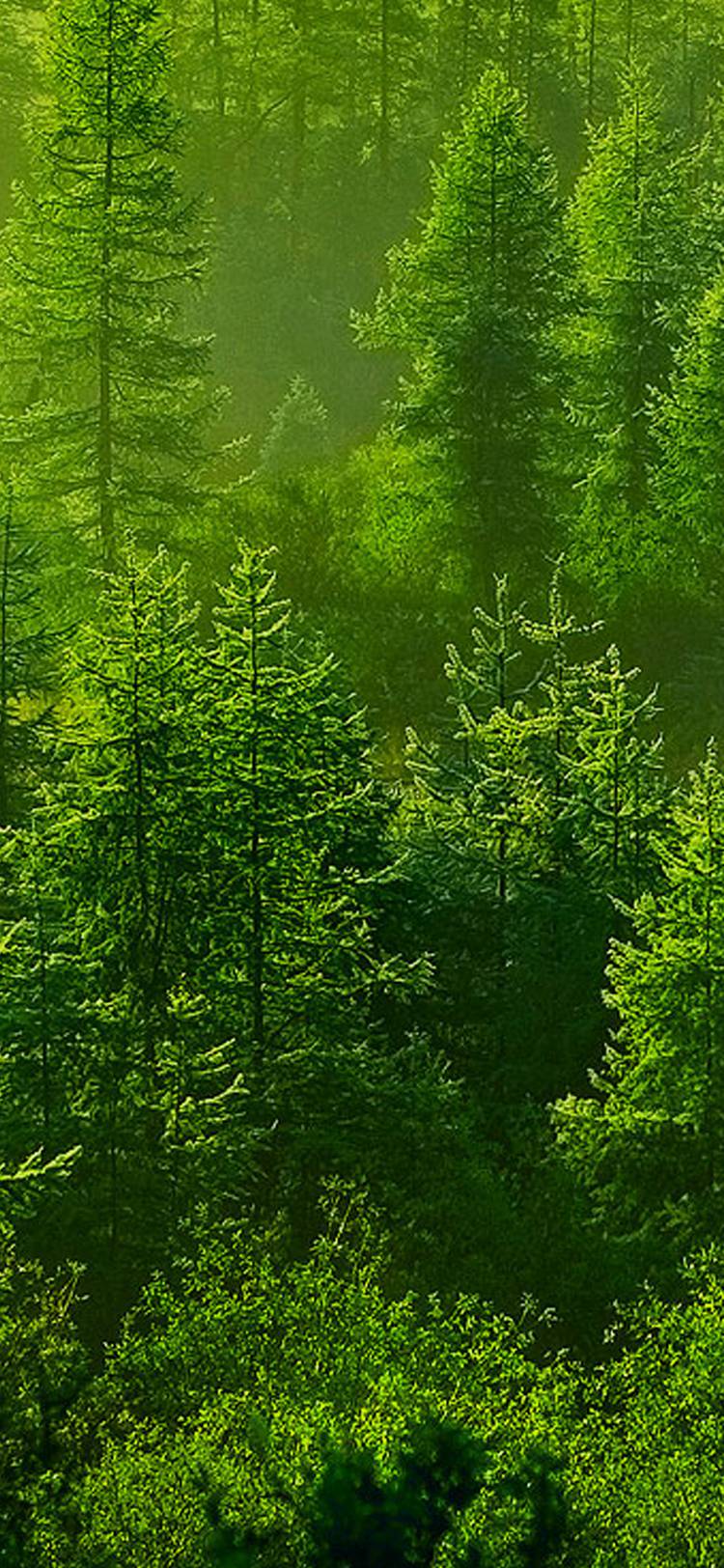 bifa·必发(中国集团)唯一官方网站